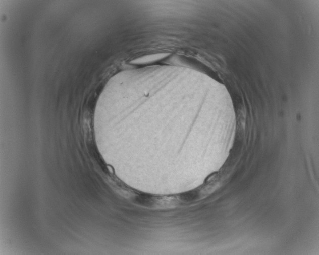 X0000067520527200605051858