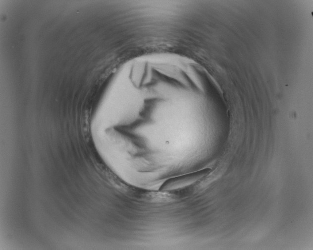 X0000067520528200605051858