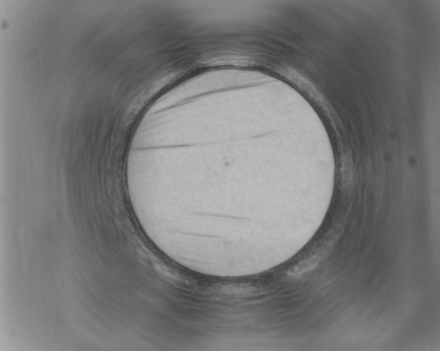 X0000067520529200605051857