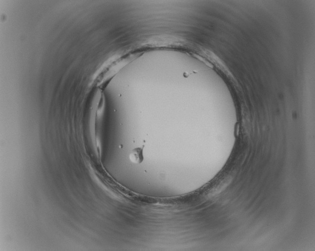 X0000067520530200605051857