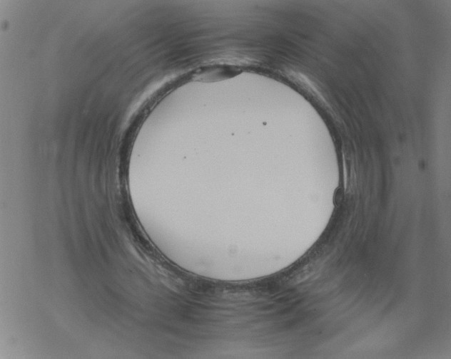 X0000067520531200605051857