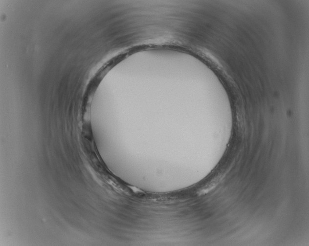 X0000067520532200605051857