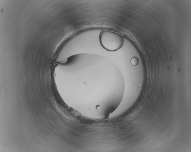 X0000067520534200605051857