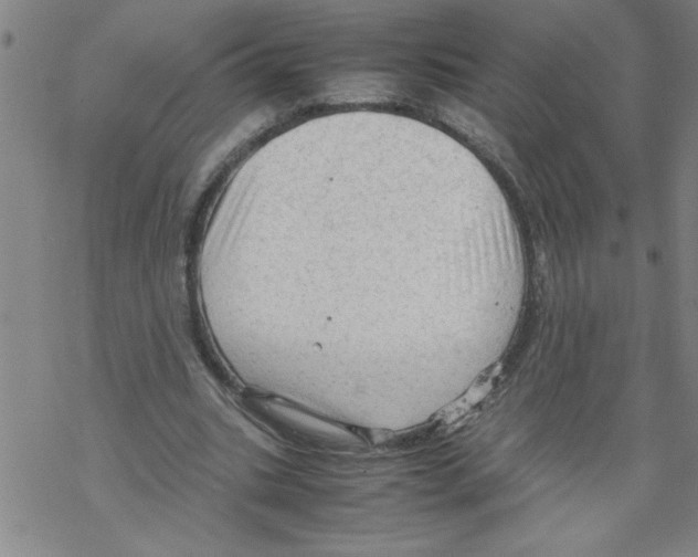 X0000067520535200605051857