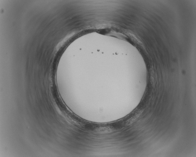 X0000067520536200605051857