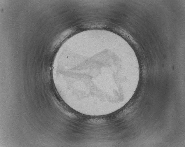 X0000067520537200605051857