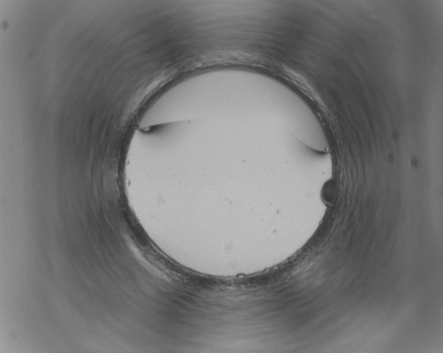 X0000067520538200605051857