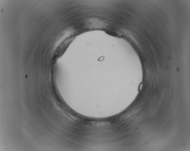 X0000067520539200605051857