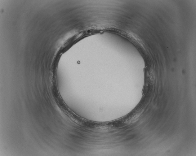 X0000067520540200605051857