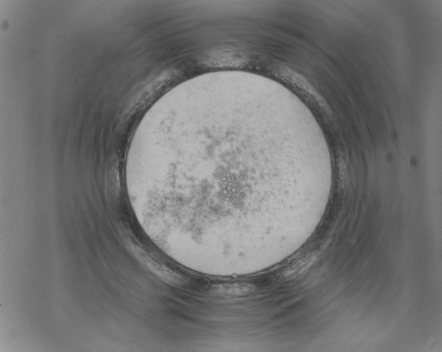 X0000067520541200605051857