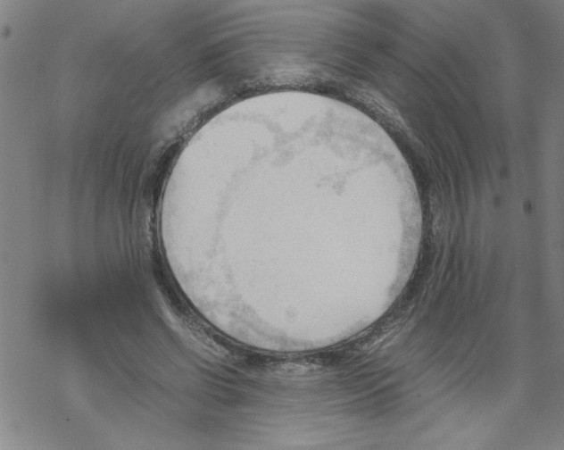 X0000067520542200605051857