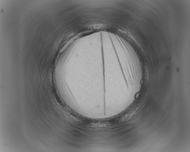 X0000067520545200605051857