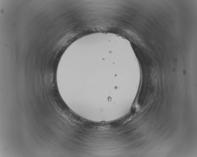 X0000067520548200605051857