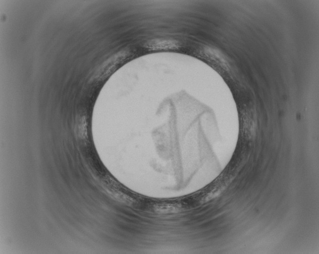 X0000067520549200605051857