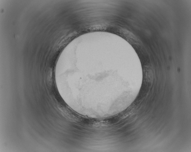 X0000067520550200605051857