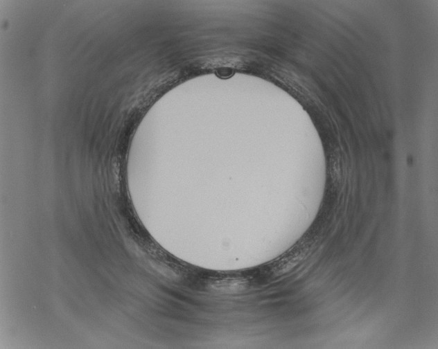 X0000067520551200605051857