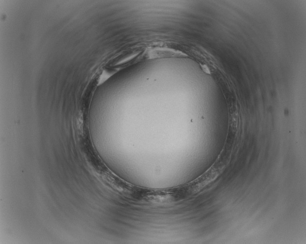 X0000067520552200605051857