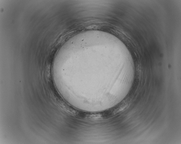 X0000067520554200605051857