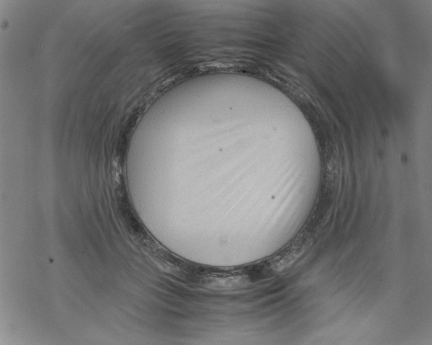 X0000067520555200605051857