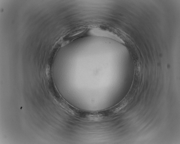 X0000067520556200605051857