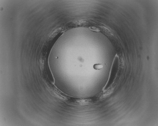 X0000067520558200605051857