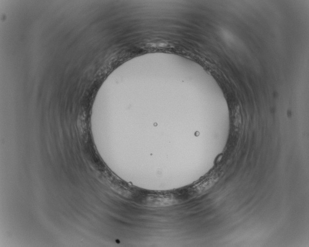 X0000067520559200605051857