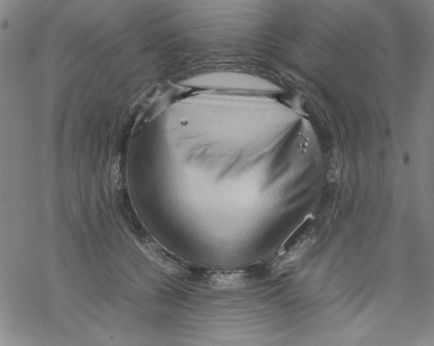 X0000067520560200605051857