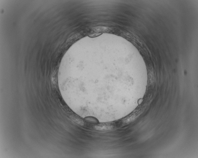 X0000067520561200605051857