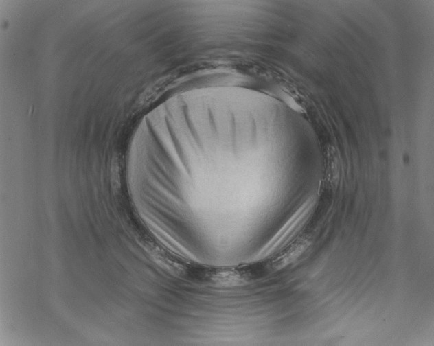 X0000067520562200605051857