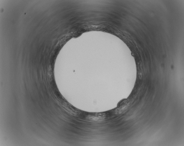 X0000067520563200605051857