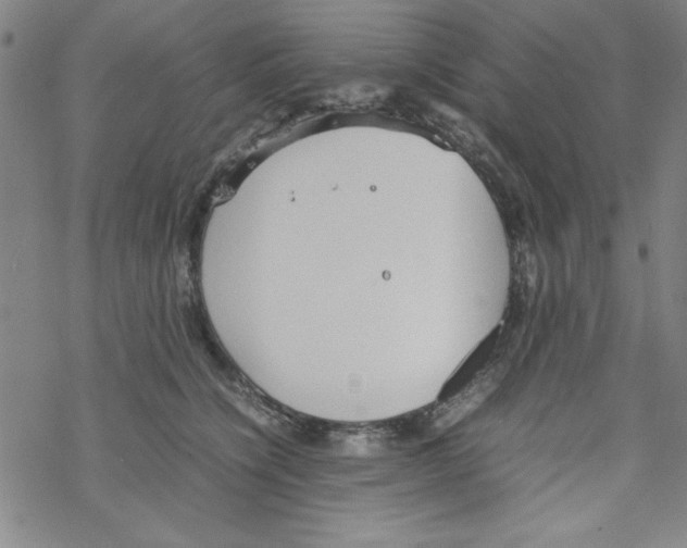 X0000067520564200605051857