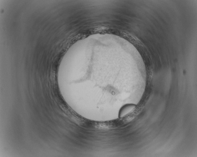 X0000067520565200605051857