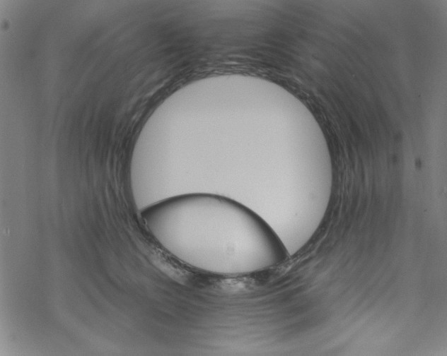 X0000067520566200605051857