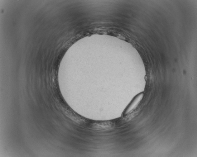 X0000067520567200605051857