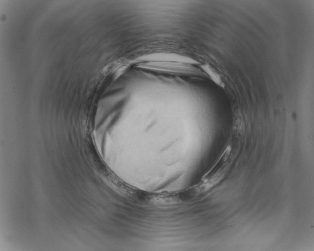 X0000067520568200605051857