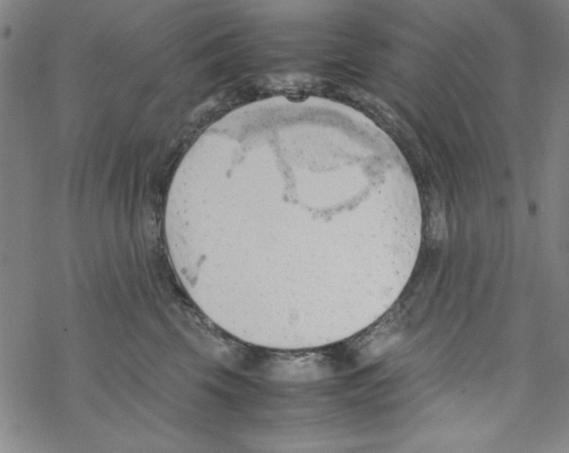 X0000067520569200605051857