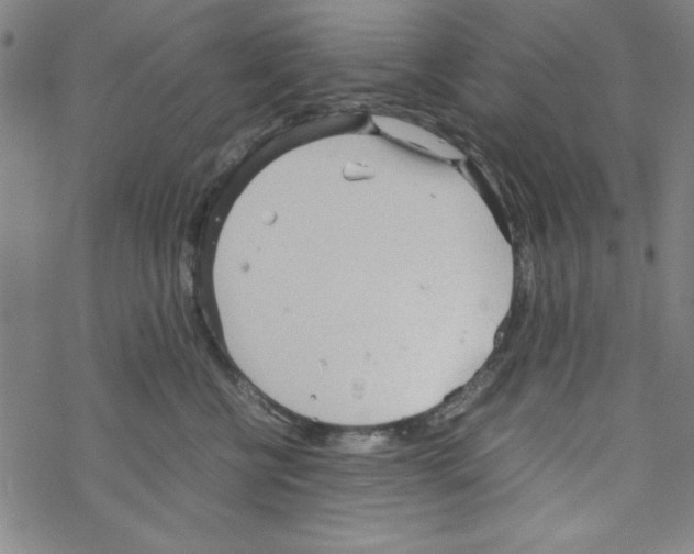 X0000067520570200605051857