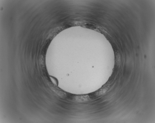 X0000067520571200605051857