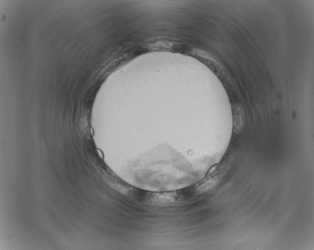 X0000067520573200605051857