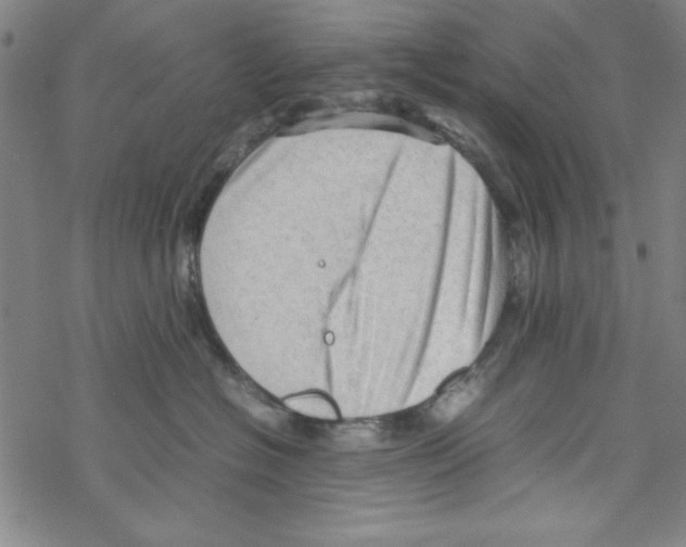 X0000067520574200605051857