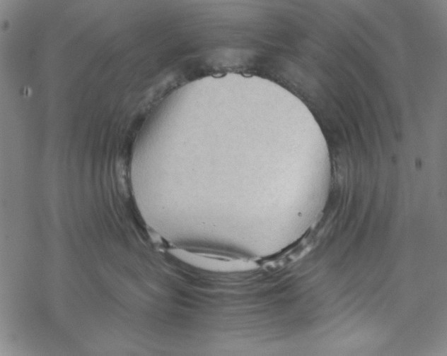 X0000067520575200605051858