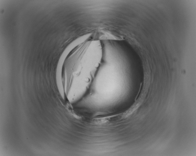 X0000067520576200605051858