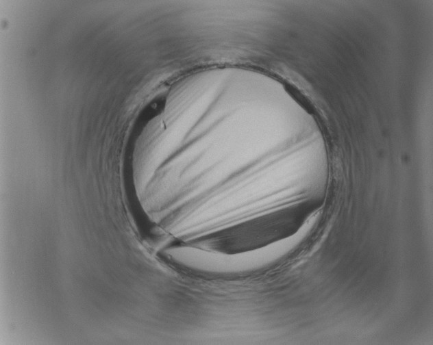 X0000067520577200605051857