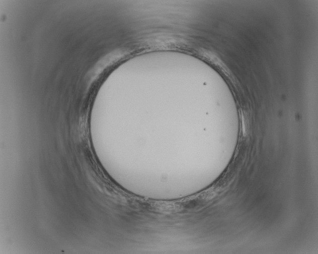 X0000067520579200605051857