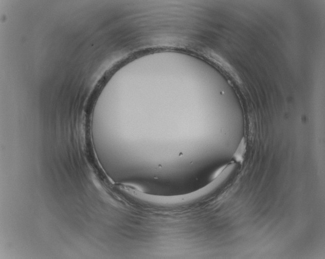 X0000067520580200605051857