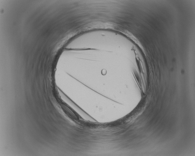 X0000067520581200605051857