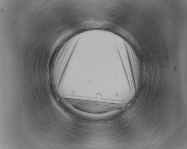 X0000067520582200605051857