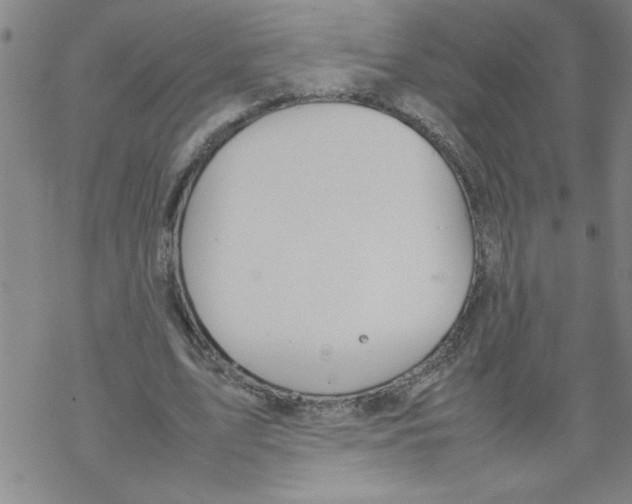 X0000067520583200605051857