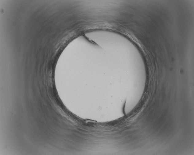 X0000067520585200605051857