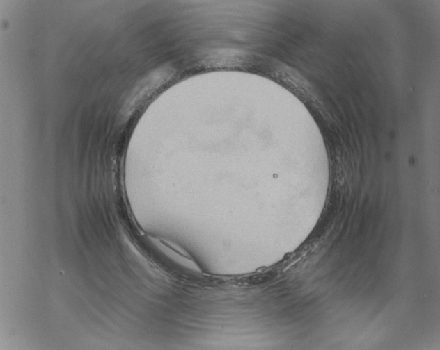 X0000067520586200605051857